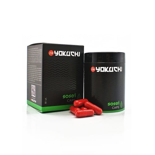 YOKUCHI-SOSEI-CAPS-Nawoz-do-Podloza-w-Kapsulkach-80szt..jpg