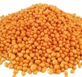 KN-01 Goldi do 03 zdjęcie C .jpg