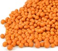 KN-01 Goldi do 03 .jpg