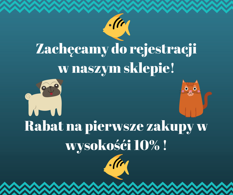 akcja rejestracja